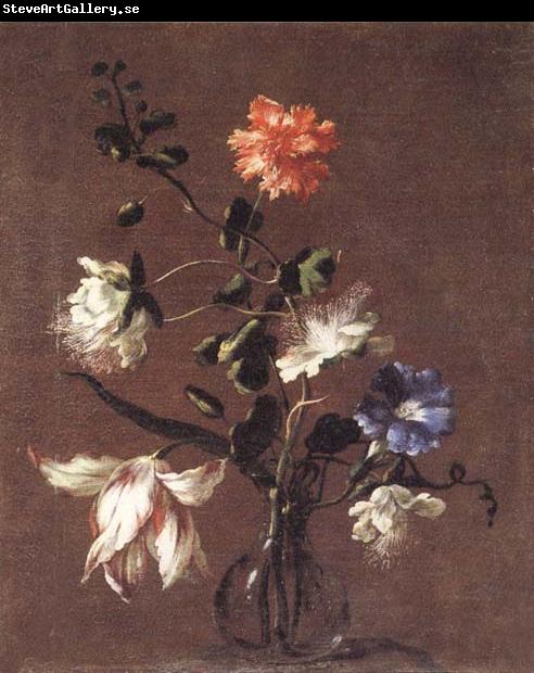 Mario Dei Fiori Theee Caper Flower,a Carnation,a Bindweed,and a Tulip